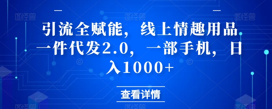 引流全赋能，线上情趣用品一件代发2.0，一部手机，日入1000+-虫2小屋