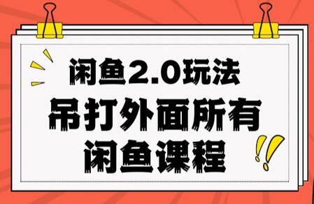 闲鱼2.0玩法单号每天日入2000，吊打市面所有课程-虫2小屋