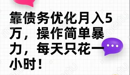 靠债务优化月入五万，每天只要花两个小时，多种方式轻松变现-虫2小屋