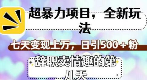 超暴利项目，全新玩法（辞职卖情趣的第几天），七天变现上万，日引500+粉-虫2小屋
