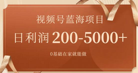 视频号蓝海项目，0基础在家也能做，日入200-5000+【附266G资料】-虫2小屋