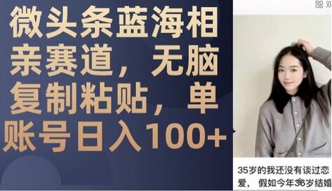 微头条蓝海相亲赛道，无脑复制粘贴，单账号日入100+-虫2小屋