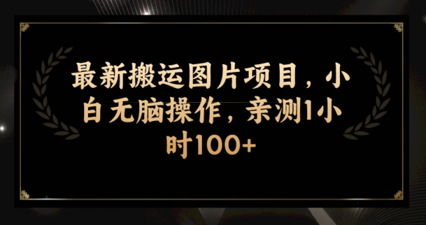 最新搬运图片项目，小白无脑操作，亲测1小时100+-虫2小屋