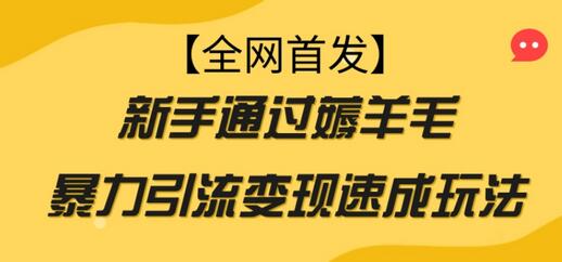 【全网首发】新手通过薅羊毛暴力引流变现速成玩法-虫2小屋