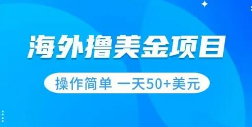 撸美金项目无门槛操作简单小白一天50+美刀-虫2小屋