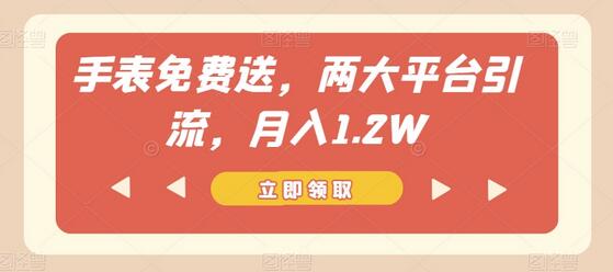 手表免费送，两大平台引流，月入1.2W-虫2小屋