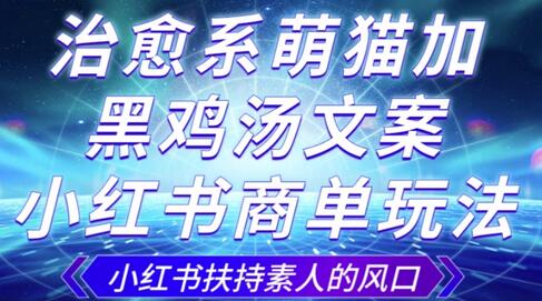 治愈系萌猫加+黑鸡汤文案，小红书商单玩法，3~10天涨到1000粉，一单200左右-虫2小屋
