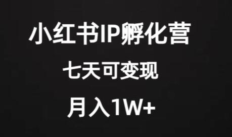 价值2000+的小红书IP孵化营项目，超级大蓝海，七天即可开始变现，稳定月入1W+-虫2小屋