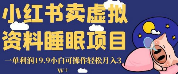 小红书卖虚拟资料睡眠项目，一单利润19.9小白可操作轻松月入3w+-虫2小屋
