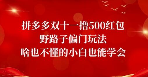 拼多多双十一撸500红包野路子偏门玩法，啥也不懂的小白也能学会-虫2小屋