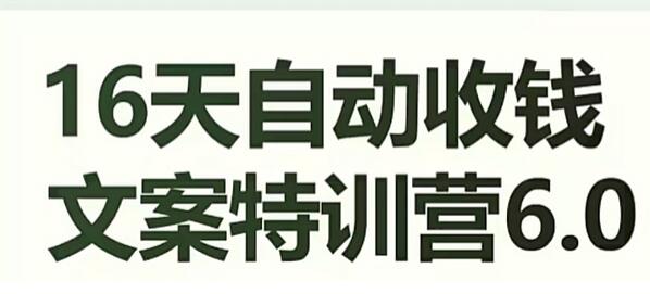 16天自动收钱文案特训营6.0，学会儿每天自动咔咔收钱-虫2小屋