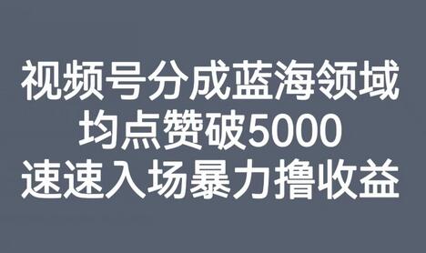 视频号分成蓝海领域，均点赞破5000，速速入场暴力撸收益-虫2小屋