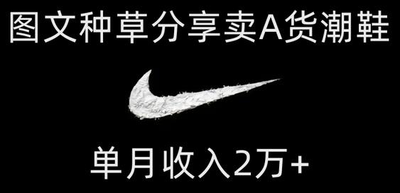 靠图文种草分享卖A货潮鞋，每天一小时，单月收入2万+-虫2小屋