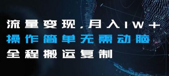 流量变现，月入1W+操作简单无需动脑全程搬运复制-虫2小屋