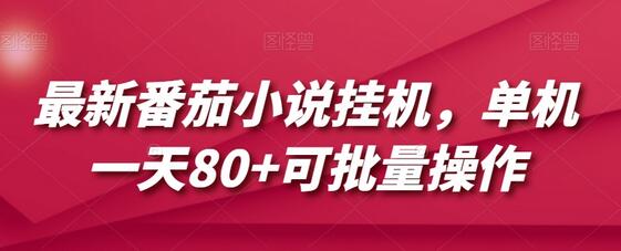 最新番茄小说挂机，单机一天80+可批量操作-虫2小屋