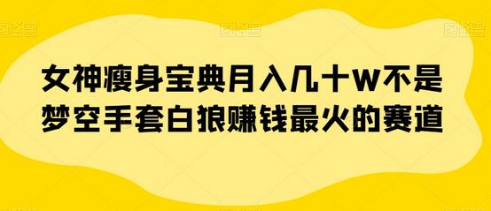 女神瘦身宝典月入几十W不是梦空手套白狼赚钱最火的赛道-虫2小屋