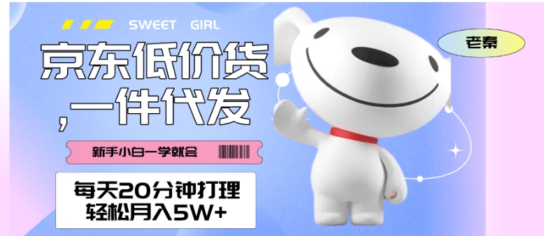 每天20分钟打理京东低价货，一件代发-轻松月入5W＋-虫2小屋