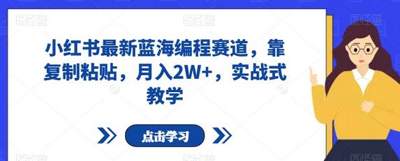 小红书最新蓝海编程赛道，靠复制粘贴，月入2W+，实战式教学-虫2小屋
