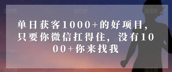 单日获客1000+的好项目，只要你微信扛得住，没有1000+你来找我-虫2小屋