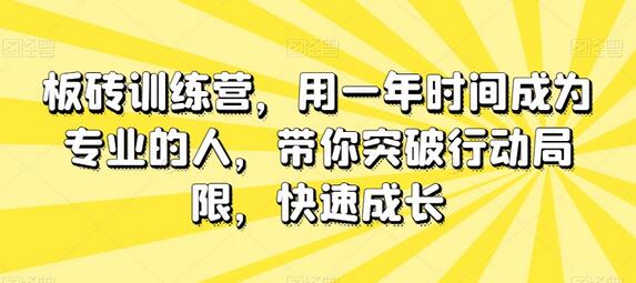 板砖训练营，用一年时间成为专业的人，带你突破行动局限，快速成长-虫2小屋