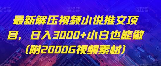 最新解压视频小说推文项目，日入3000+小白也能做（附2000G视频素材）-虫2小屋