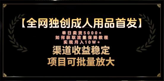 最新全网独创首发，成人用品赛道引流获客，月入10w保姆级教程-虫2小屋