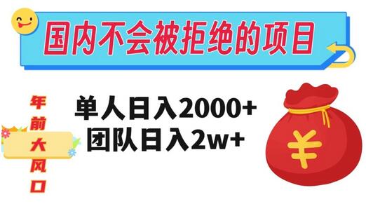 在国内不怕被拒绝的项目，单人日入2000，团队日入20000+-虫2小屋