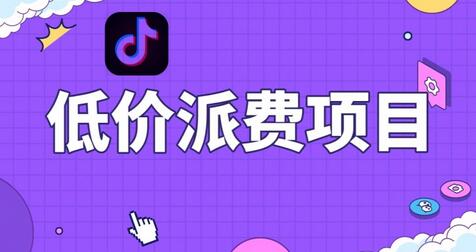 抖音低价派单项目，0门槛，日入1000+很轻松，小白可操作-虫2小屋