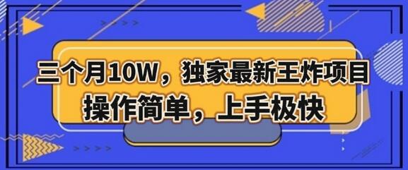 三个月10W，独家最新王炸项目！操作简单，上手极快-虫2小屋