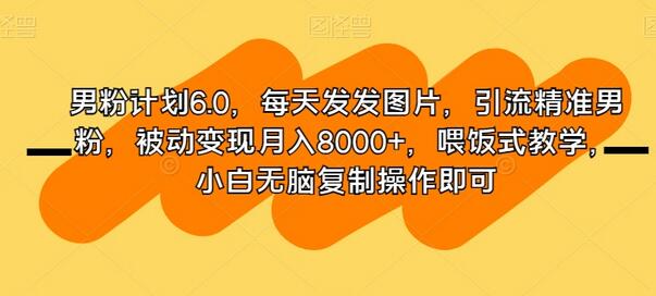 男粉计划6.0，每天发发图片，引流精准男粉，被动变现月入8000+，喂饭式教学，小白无脑复制操作即可-虫2小屋
