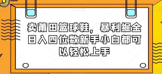 卖莆田篮球鞋，暴利掘金日入四位数新手小白都可以轻松上手-虫2小屋
