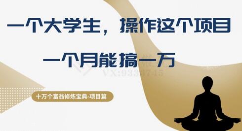 十万个富翁修炼宝典之4.一个大学生操作这个项目，一个月能搞一万-虫2小屋