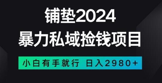 暴力私域捡钱项目，小白无脑操作，日入2980-虫2小屋