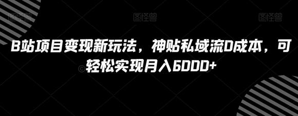 B站项目变现新玩法，神贴私域流0成本，可轻松实现月入6000+-虫2小屋