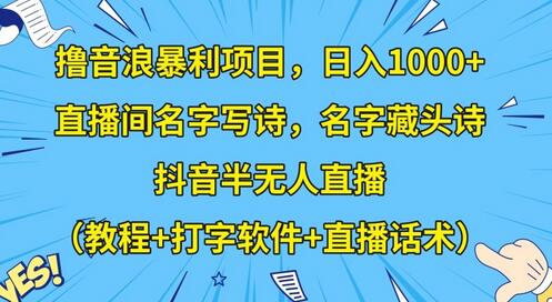 撸音浪暴利项目，日入1000+，直播间名字写诗，名字藏头诗，抖音半无人直播（教程+打字软件+直播话术）-虫2小屋