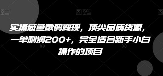 实操咸鱼数码变现，顶尖品质货源，一单利润200+，完全适合新手小白操作的项目-虫2小屋