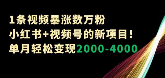 1条视频暴涨数万粉–小红书+视频号的新项目！单月轻松变现2000-4000-虫2小屋