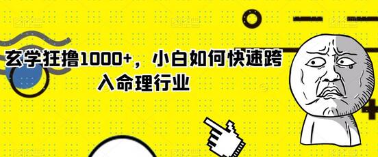 玄学狂撸1000+，小白如何快速跨入命理行业-虫2小屋