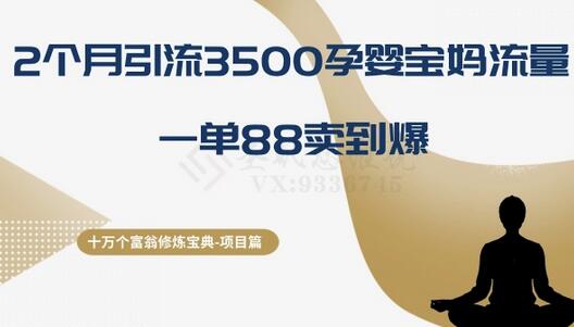 十万个富翁修炼宝典之13.2个月引流3500孕婴宝妈流量，一单88卖到爆-虫2小屋