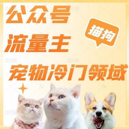 公众号流量主，萌宠冷门领域，单日收益2000+，简单暴力掘金，矩阵操作，无限放大收益！-虫二网创