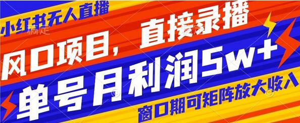 风口项目，小红书无人直播带货，直接录播，可矩阵，月入5w+-虫2小屋