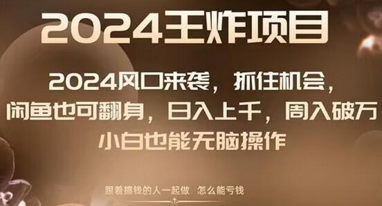 2024风口项目来袭，抓住机会，闲鱼也可翻身，日入上千，周入破万，小白也能无脑操作-虫2小屋
