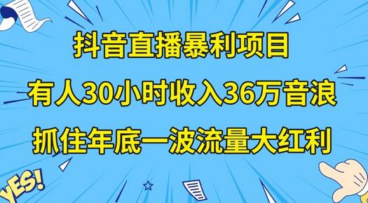 抖音直播暴利项目，有人30小时收入36万音浪，公司宣传片年会视频制作，抓住年底一波流量大红利-虫2小屋