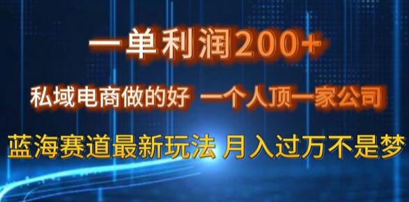 一单利润200私域电商做的好，一个人顶一家公司蓝海赛道最新玩法-虫2小屋