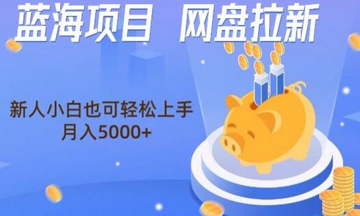 蓝海项目网盘拉新，新人小白也可操作，每月收入5000+-虫2小屋