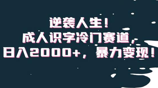逆袭人生！成人识字冷门赛道，日入2000+，暴力变现！-虫2小屋