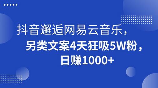 抖音邂逅网易云音乐，另类文案4天狂吸5W粉，日赚1000+-虫2小屋
