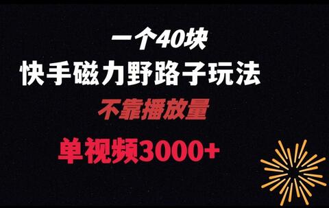 一个40块，快手联合美团磁力新玩法，无视机制野路子玩法，单视频收益4位数-虫2小屋
