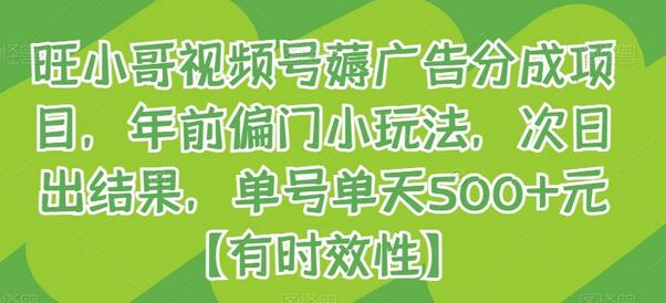 旺小哥视频号薅广告分成项目，年前偏门小玩法，次日出结果，单号单天500+元【有时效性】-虫2小屋