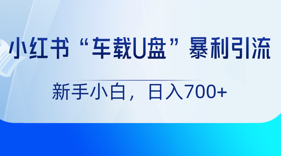 小红书“车载U盘”项目，暴利引流，新手小白轻松日入700+-虫2小屋